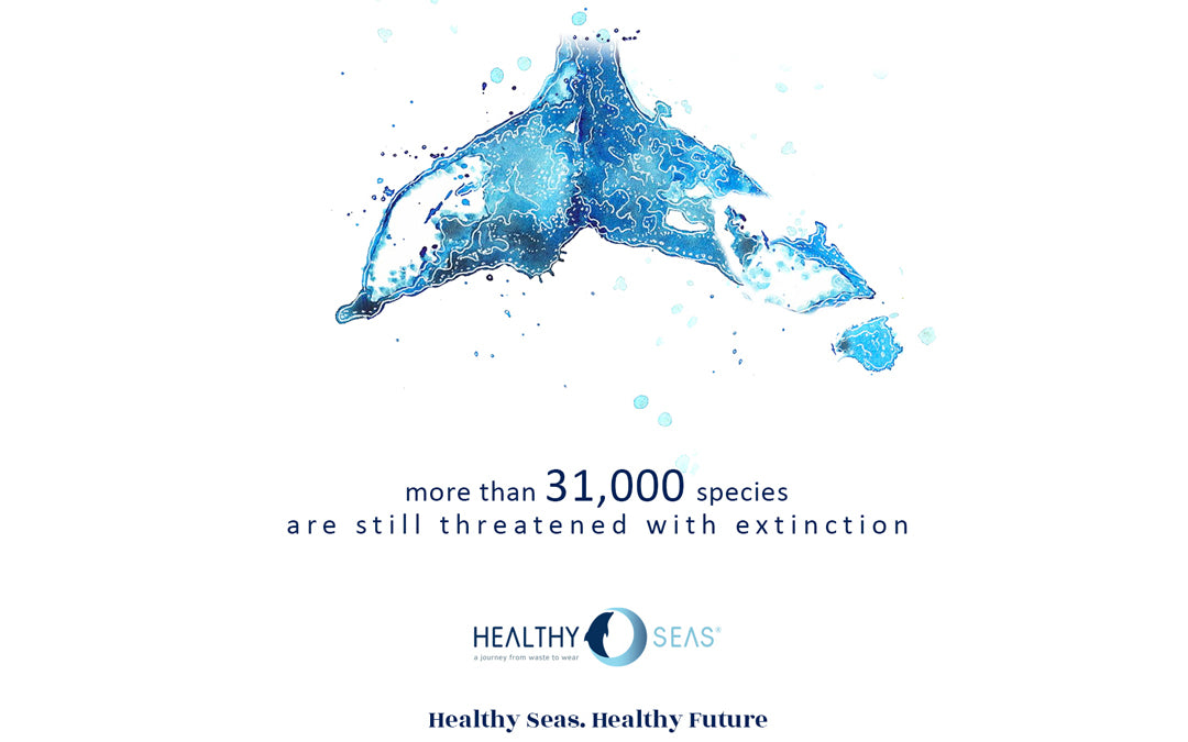 Healthy Seas, Healthy Future