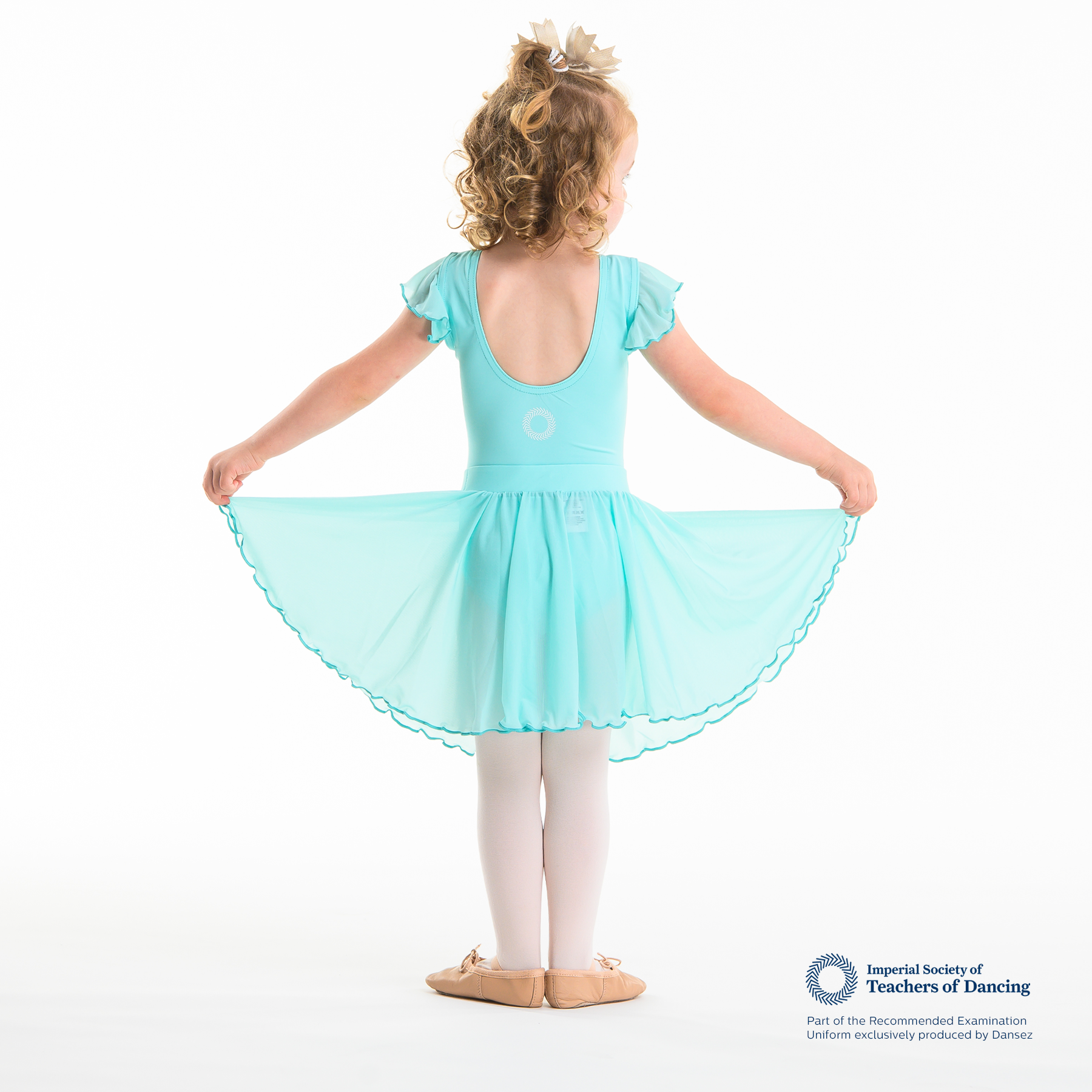 ISTD Semi Sheer Skirt - Light Pink (Young Dancer)