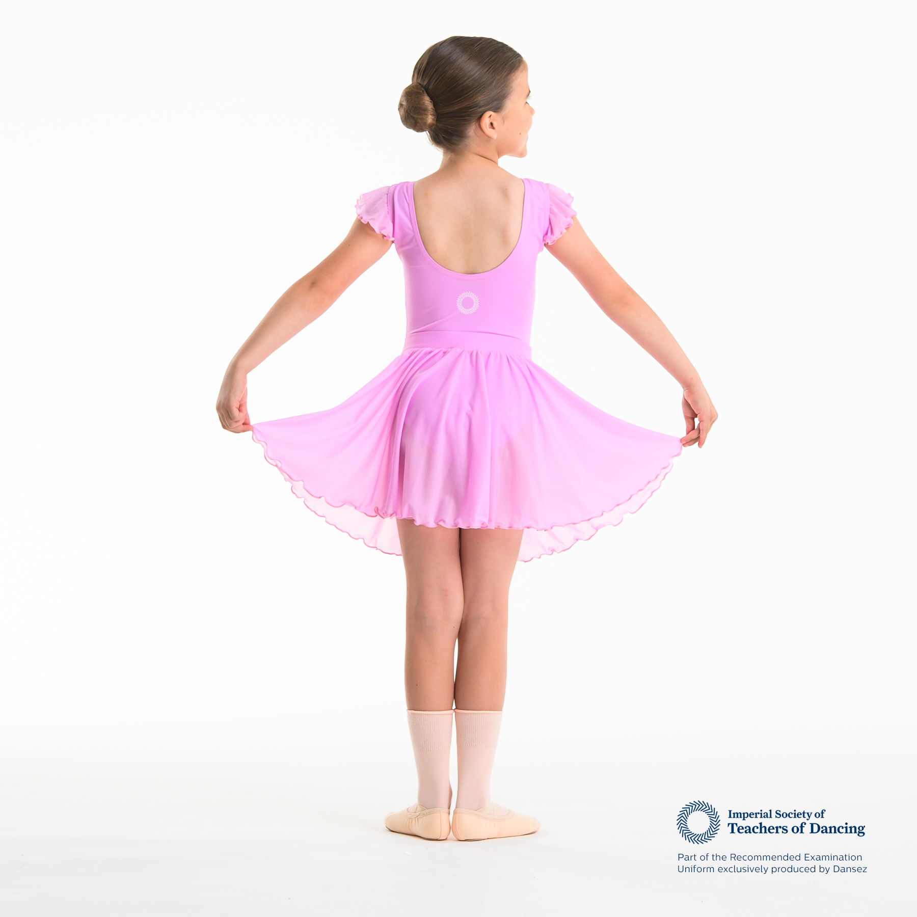 ISTD Semi Sheer Skirt - Light Pink (Young Dancer)